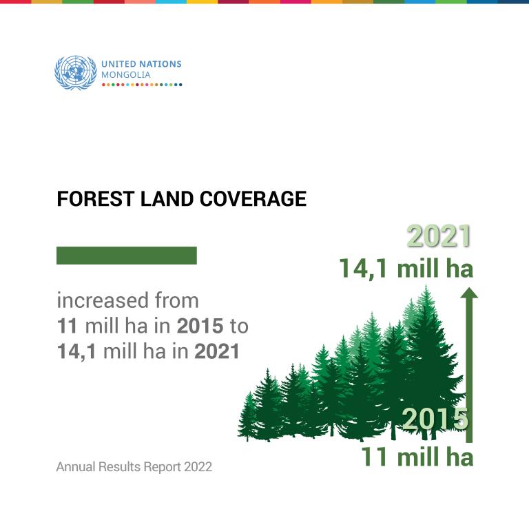 forest land infographics